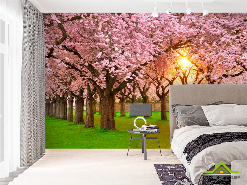 Фотошпалери Квітучі вишні