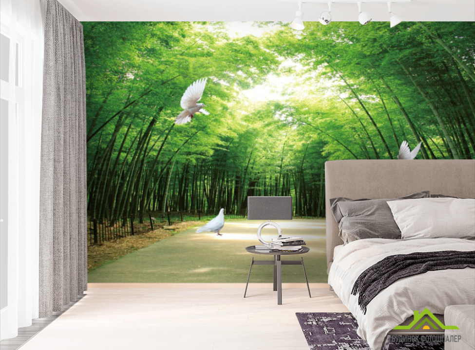 выбрать Фотошпалери Зелена алея Фотошпалери різні на стіну