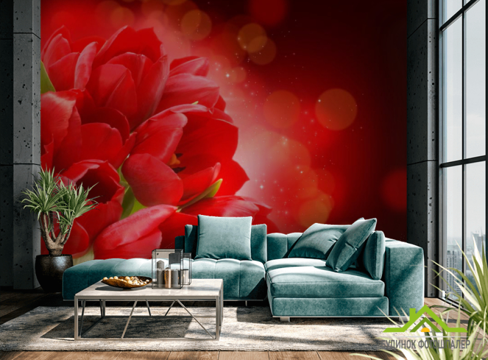 выбрать Фотообои Алые тюльпаны Фотообои Тюльпаны на стену