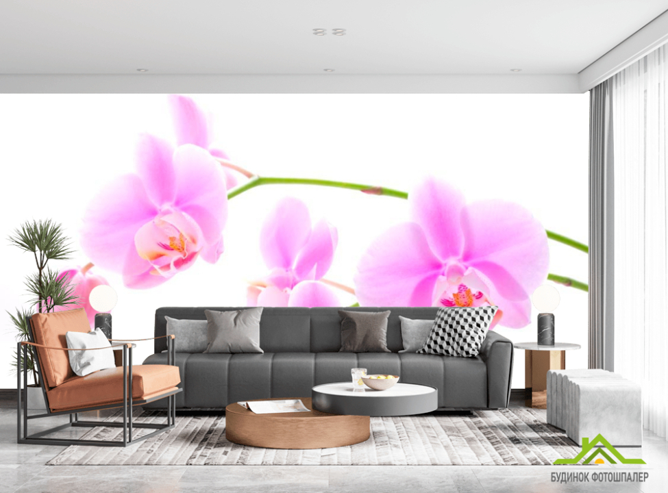 выбрать Фотошпалери Орхідеї розпустилися Фотошпалери Квіти на стіну