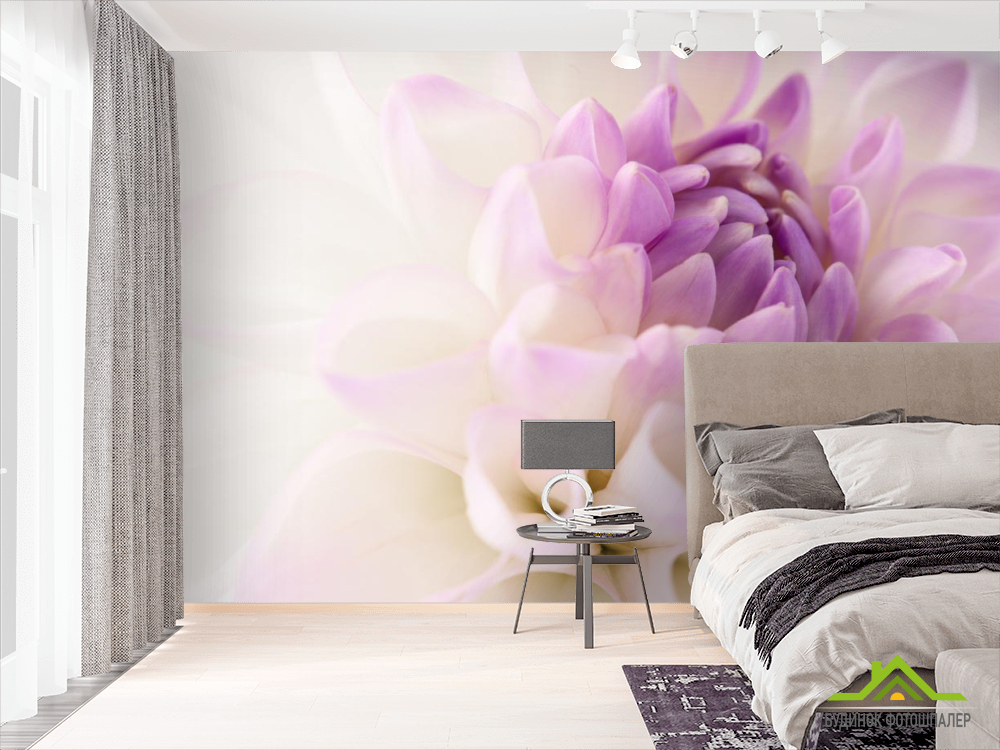 Фотошпалери біло-бузковий квітка