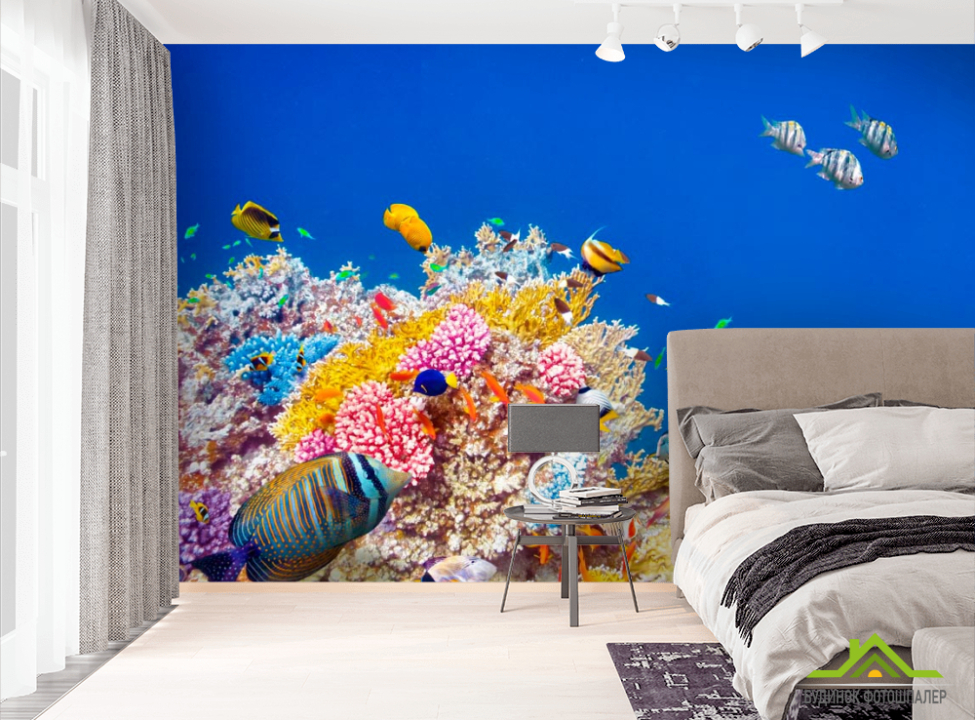 выбрать Фотошпалери Корали і риби Фотошпалери Риби і море на стіну