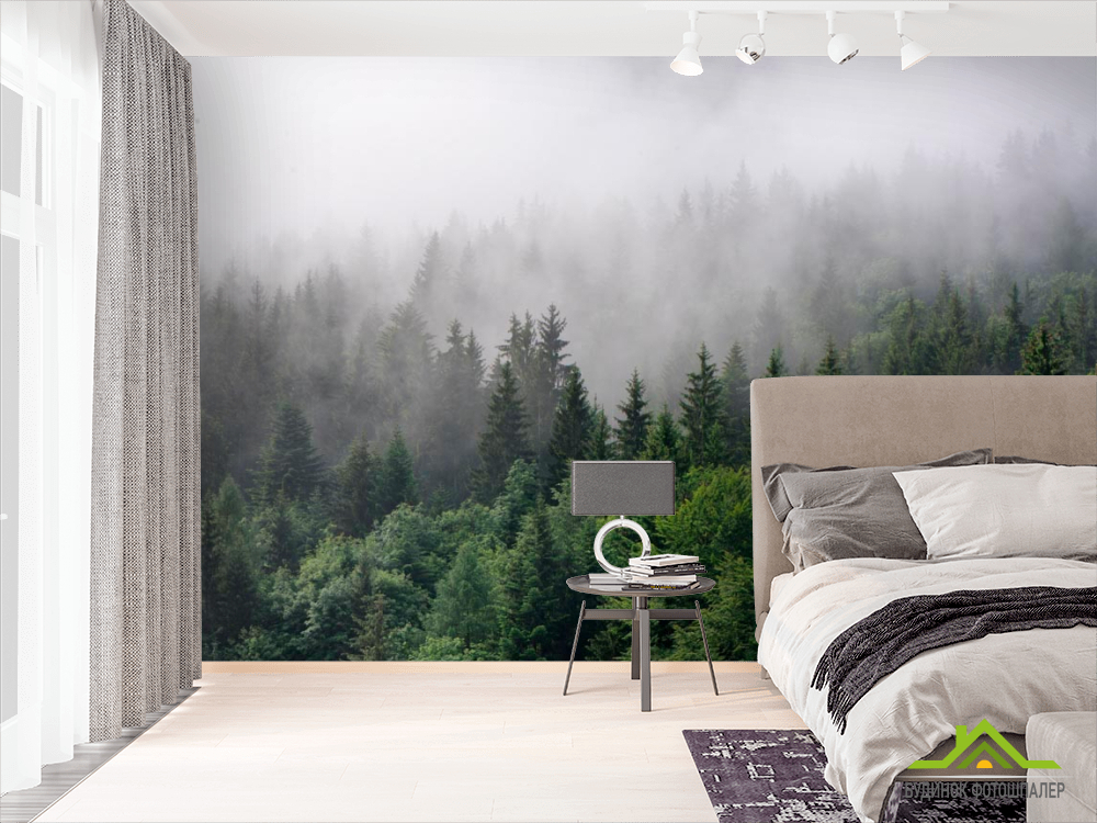 Фотошпалери Ліс в тумані