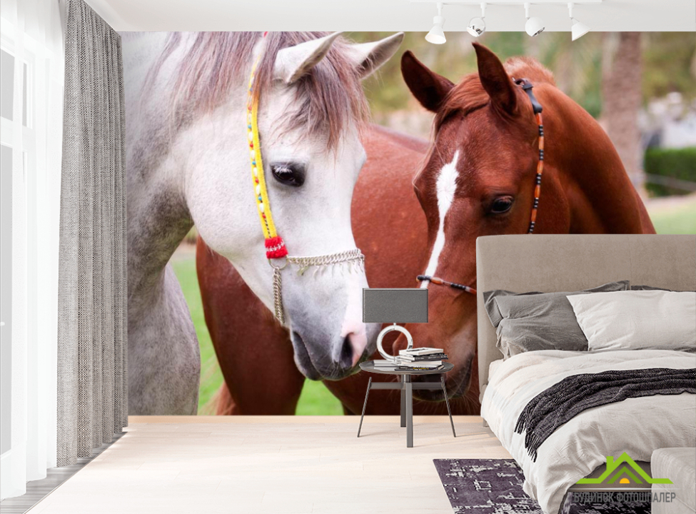 выбрать Фотообои Пара коней  на стену