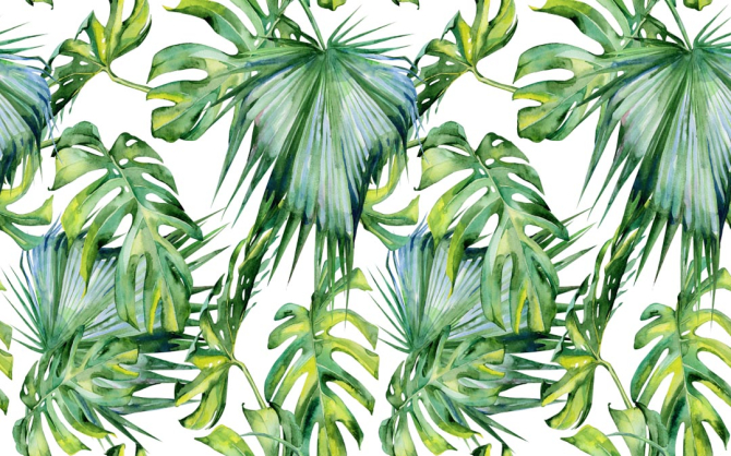 Фотошпалери Тропічний принт