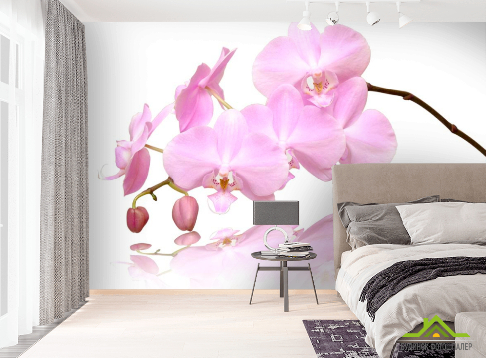 выбрать Фотообои Розово-белые орхидеи Фотообои Орхидеи на стену