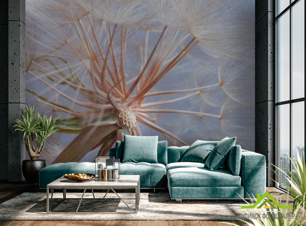 выбрать Фотообои Отцвевший одуванчик Фотообои Одуванчики на стену