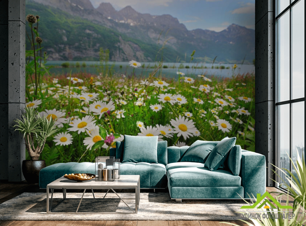 выбрать Фотошпалери ромашки і гори Фотошпалери різні на стіну