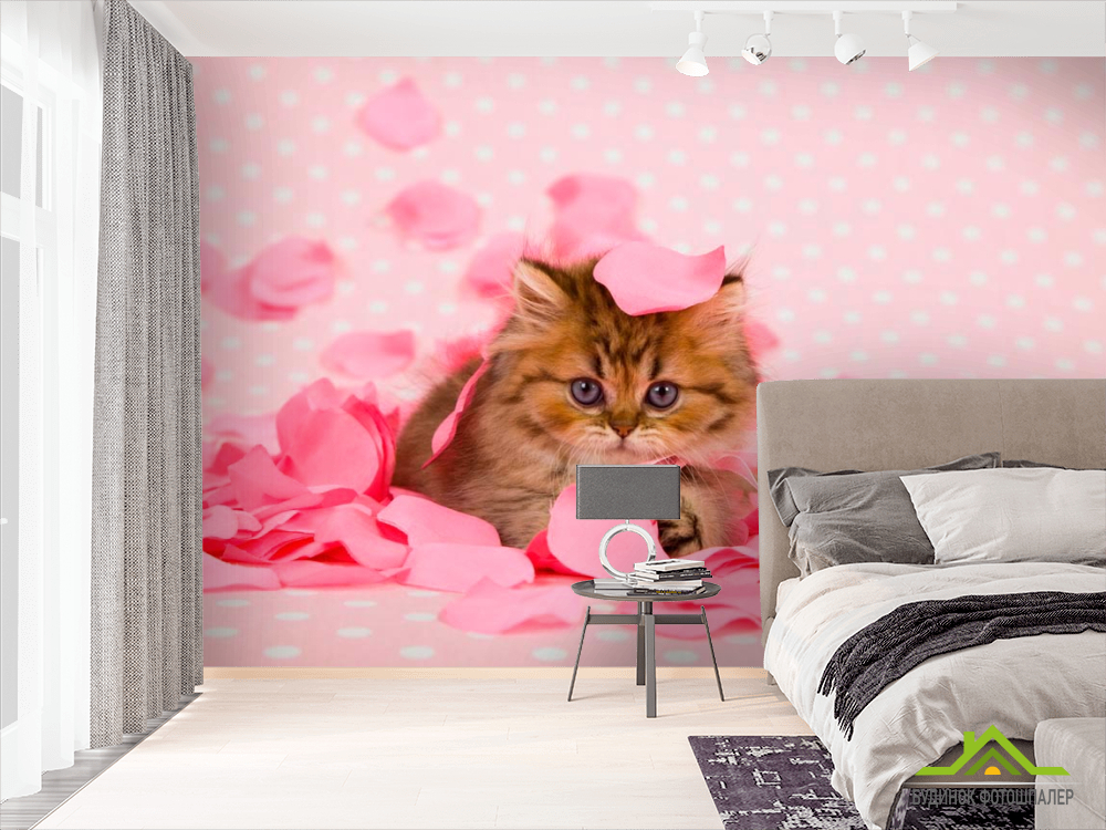 Фотообои Котенок в лепестках