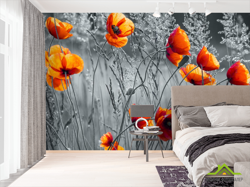 Фотошпалери червоні маки на чорно-білому тлі