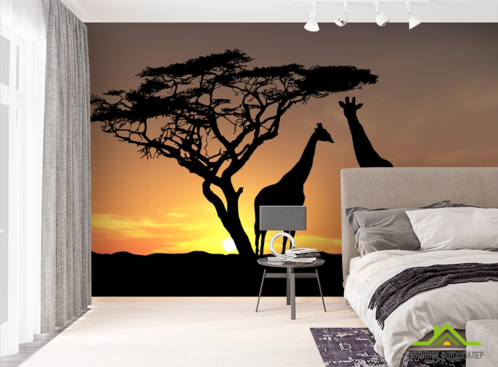 выбрать Фотошпалери жирафи Фотошпалери Природа на стіну