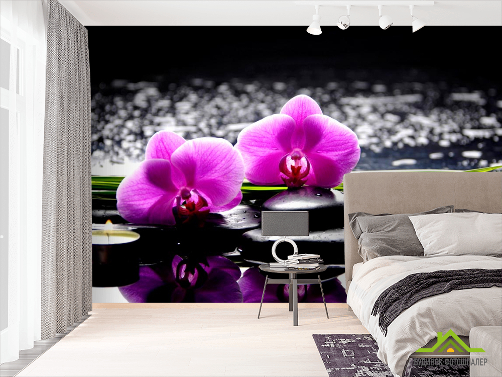 Фотошпалери Орхідеї на каменях