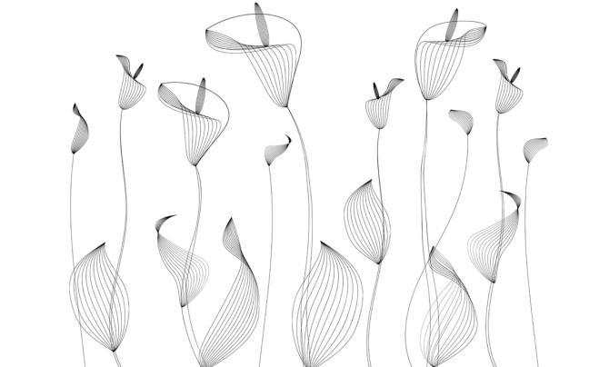 Фотообои цветы линии