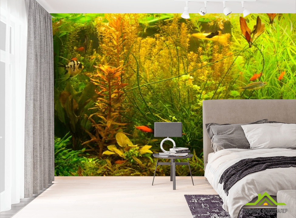 выбрать Фотошпалери акваріум Фотошпалери Природа на стіну