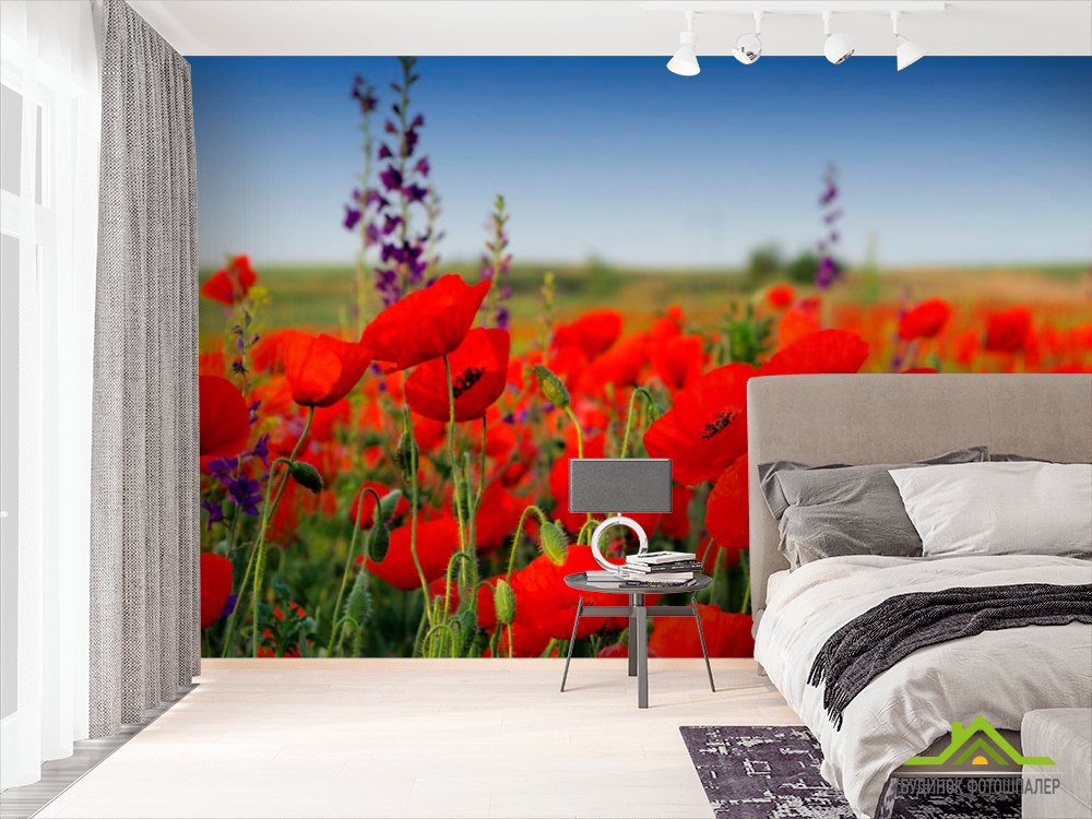 Фотошпалери Макове червоне поле