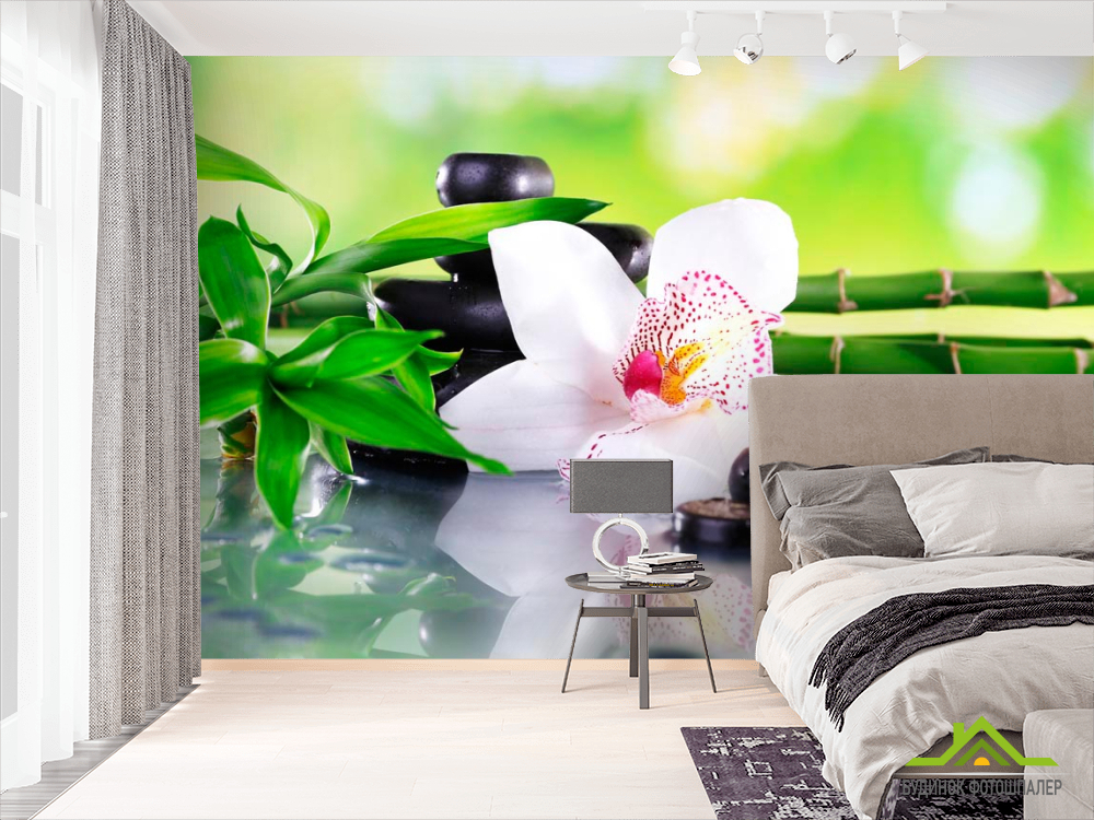 Фотошпалери Квітка орхідеї