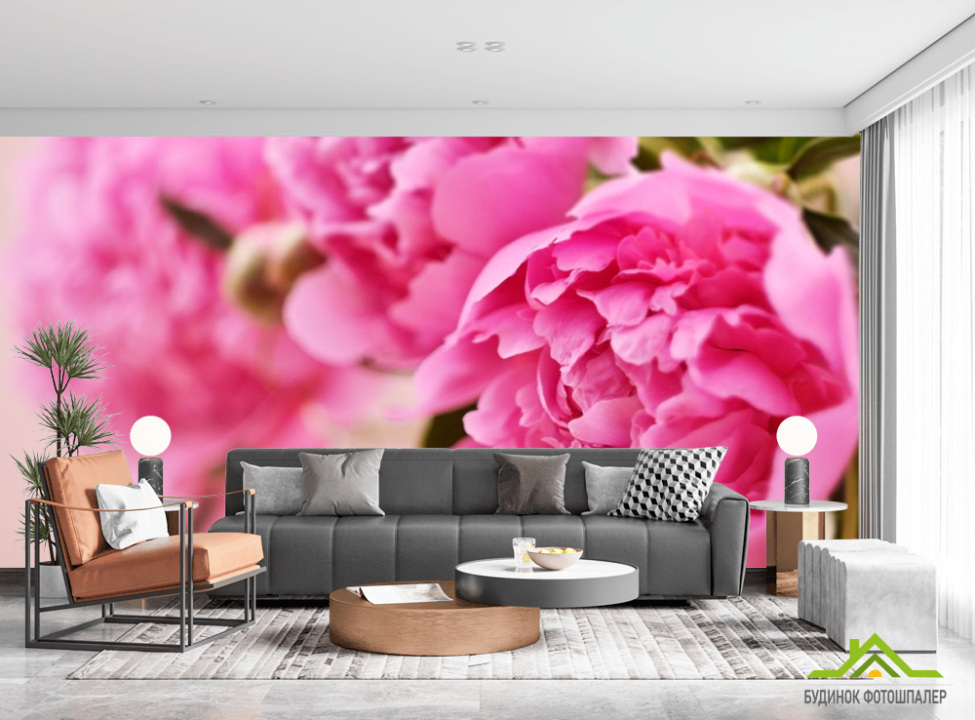 выбрать Фотошпалери рожевий піон Фотошпалери Квіти на стіну