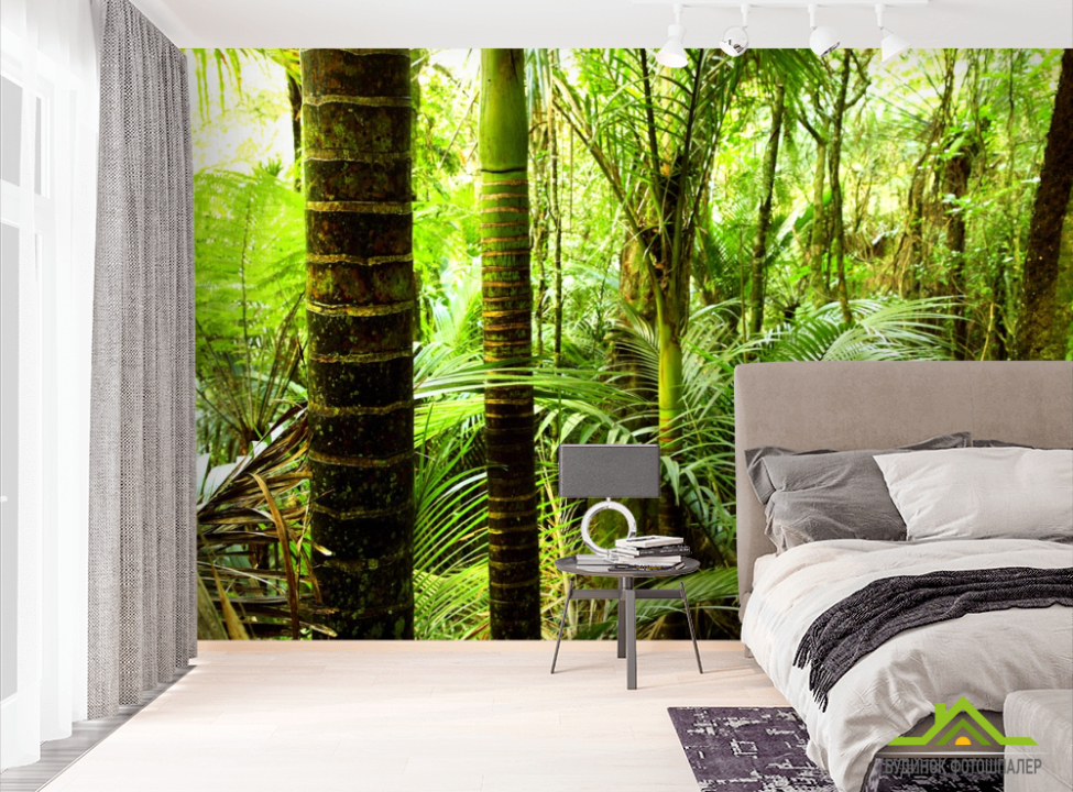 выбрать Фотошпалери тропічні пальми Фотошпалери Природа на стіну