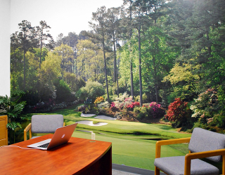 Фотообои для офиса  в Хмельницком