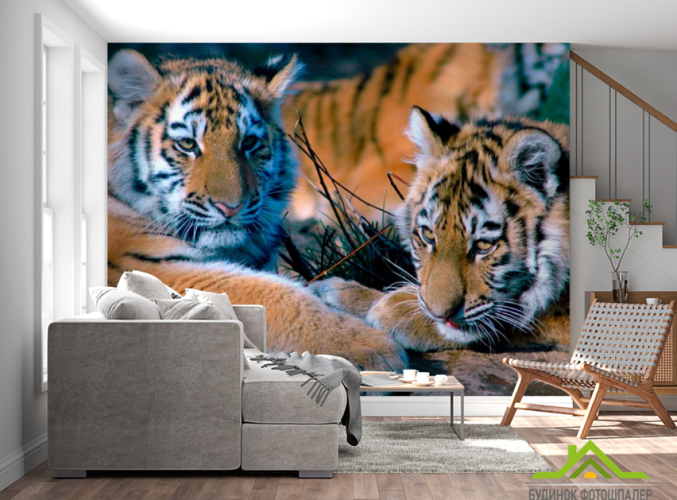 выбрать Фотошпалери Два тигра Фотошпалери Тигри на стіну