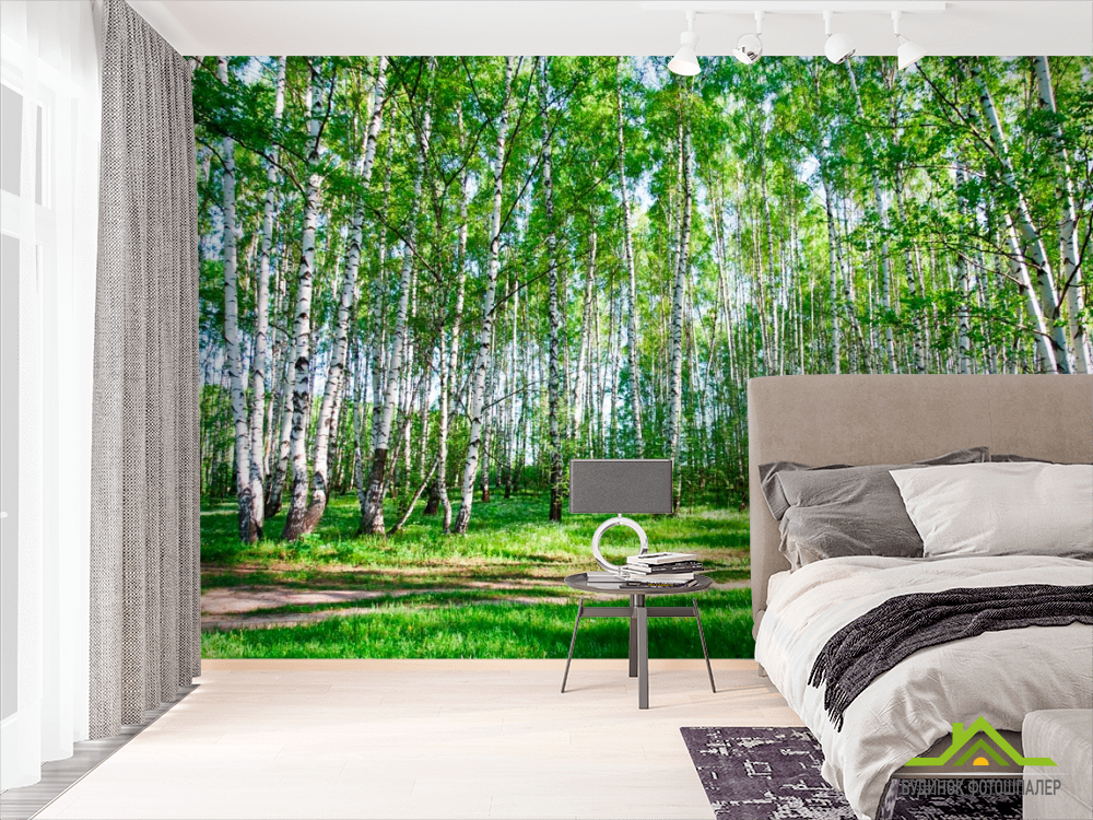 Фотошпалери Молоді берези, стежка