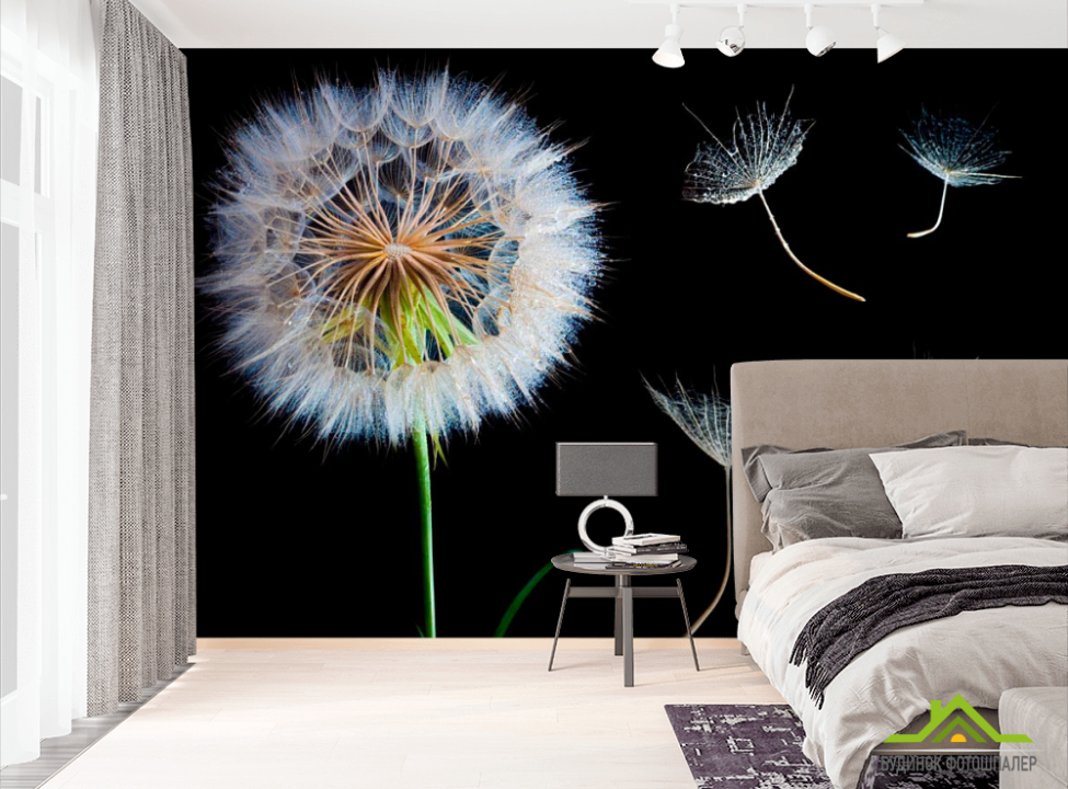 выбрать Фотошпалери Політ кульбаби Фотошпалери Кульбаби на стіну