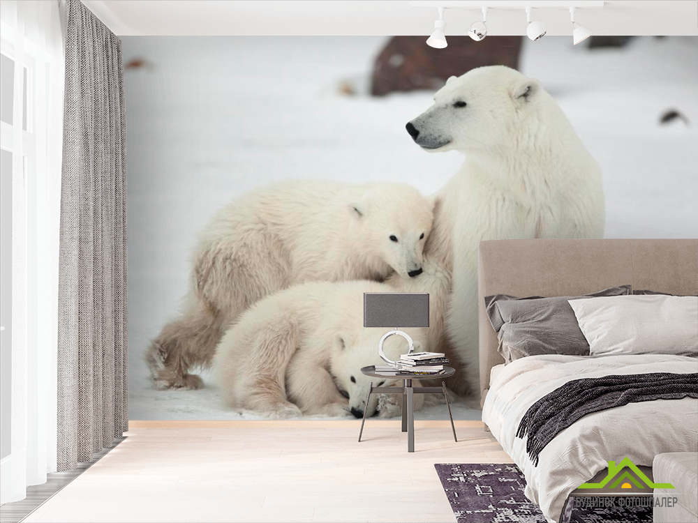 Фотошпалери Сім'я білих ведмедів