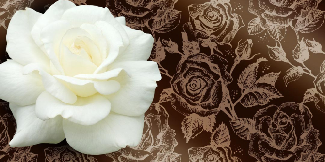 Фотошпалери Величезна біла троянда і патерн