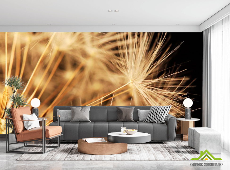 выбрать Фотообои Макро одуванчика Фотообои Одуванчики на стену