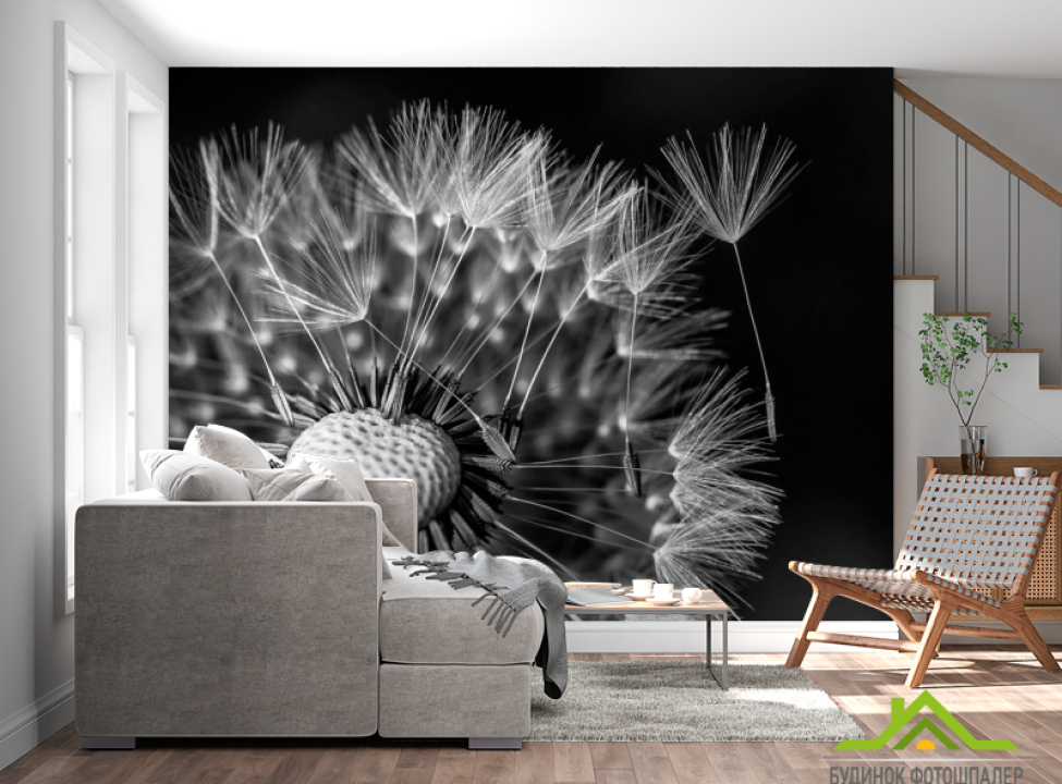 выбрать Фотообои Одуванчик Фотообои Одуванчики на стену