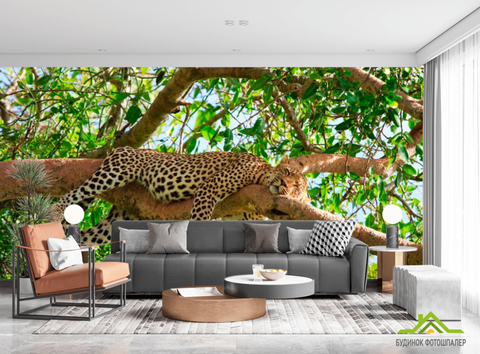 выбрать Фотообои Спящий гепард Фотообои Гепарды на стену