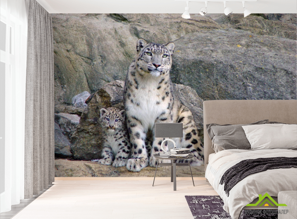 выбрать Фотообои Семья снежных барсов  на стену