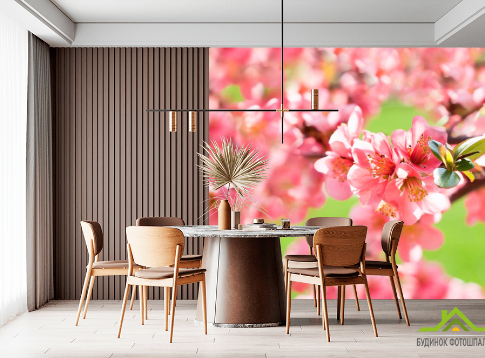 выбрать Фотошпалери Квітуча Вишня навесні Фотошпалери Вишня на стіну