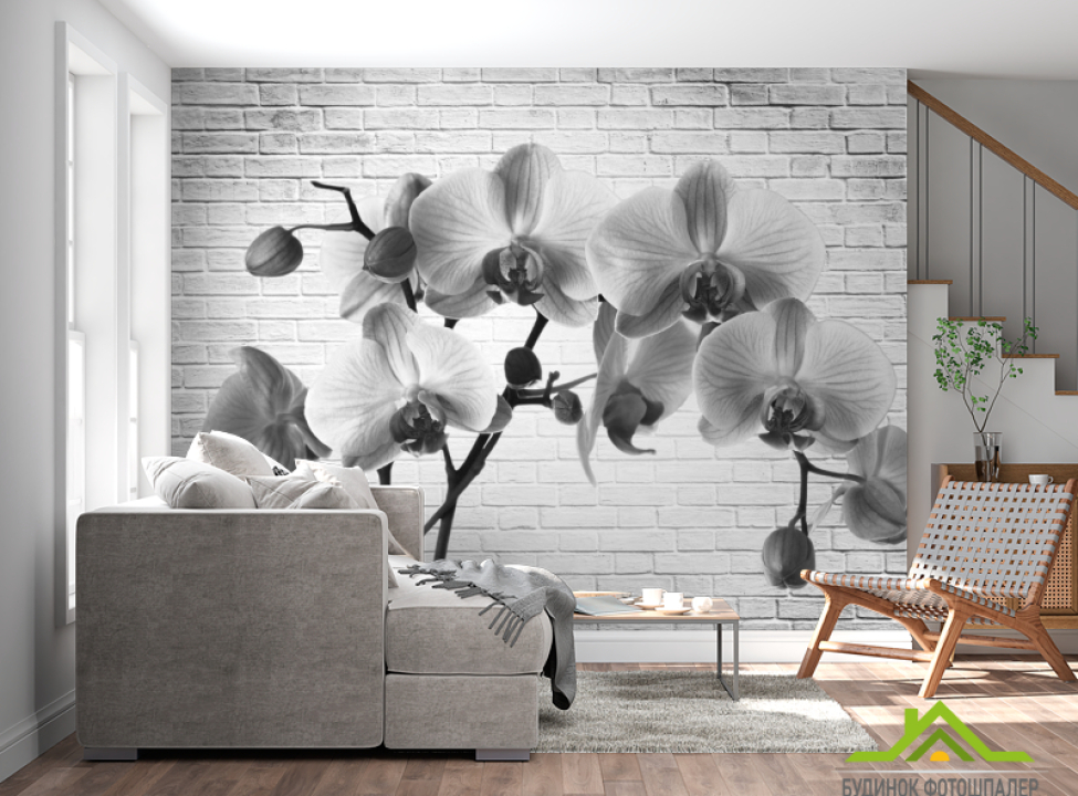 выбрать Фотообои Орхидея Фотообои Цветы на стену