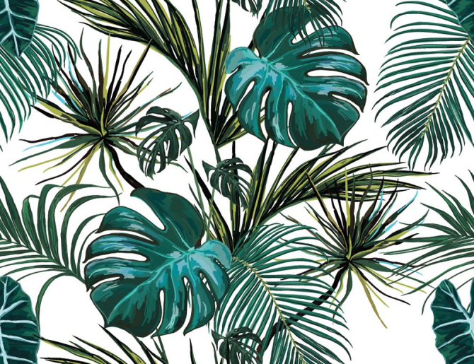 Фотошпалери Тропічні листя
