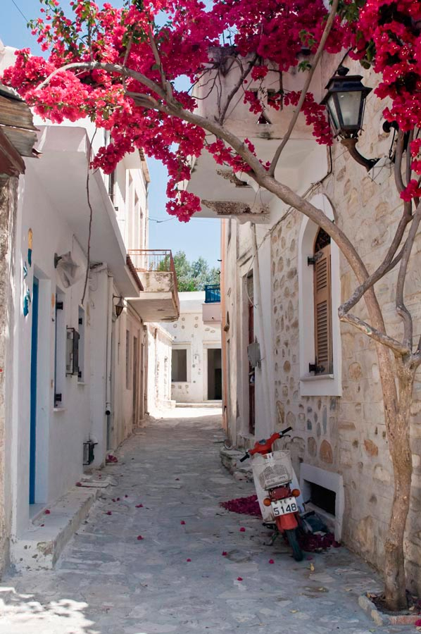 Фотошпалери Вуличка у кольорах