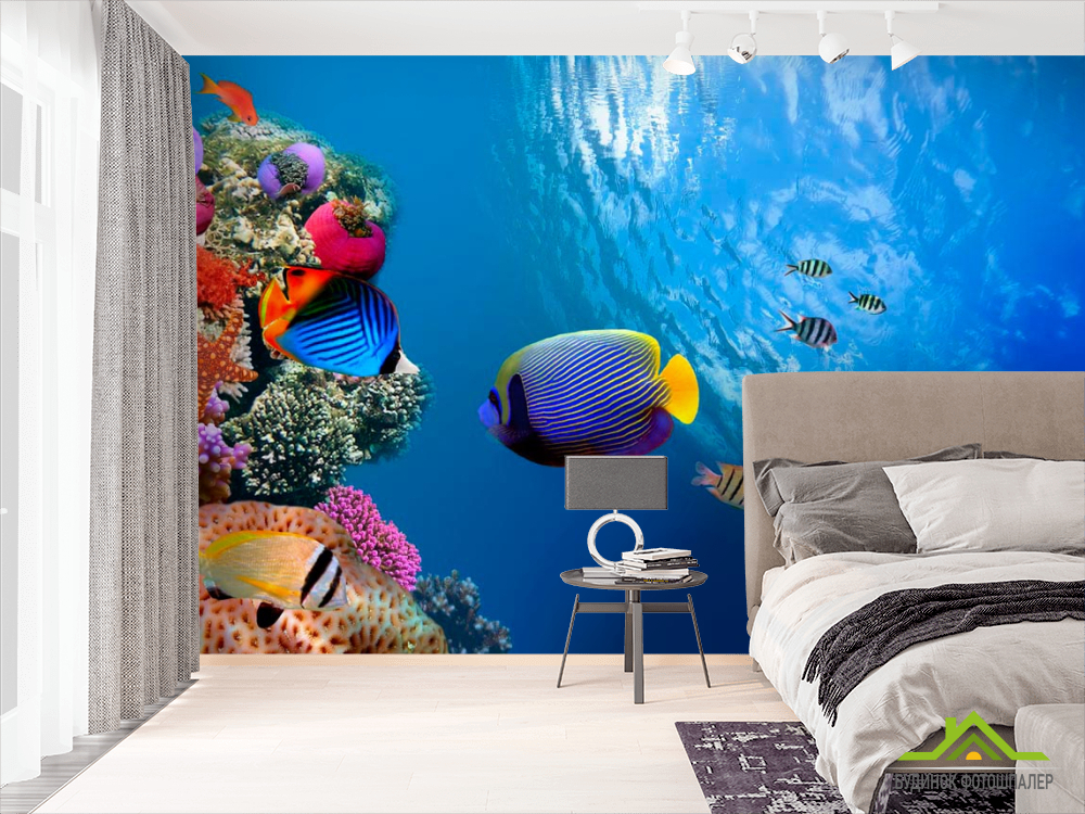 Фотообои У кромки воды