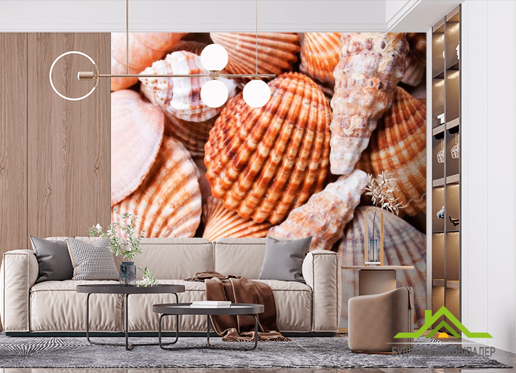 Фотообои Ракушки