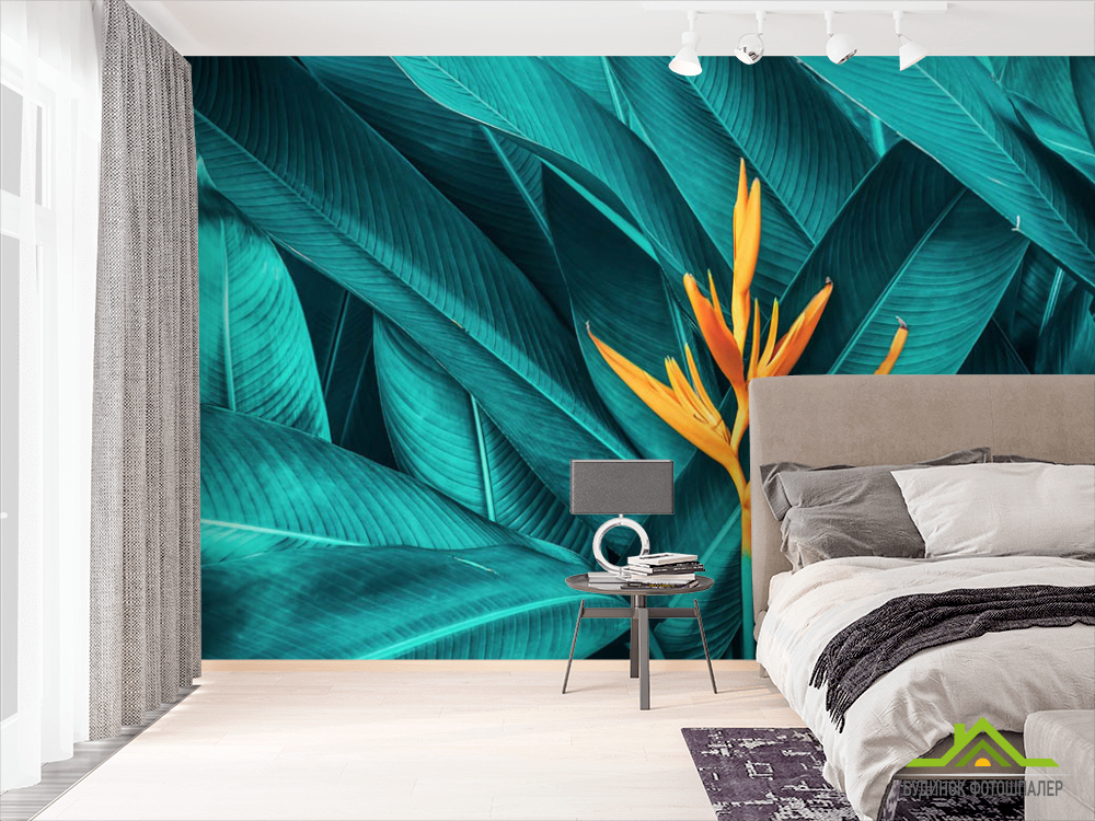 Фотошпалери яскрава Стреліція