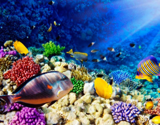 Фотообои Море  в Хмельницком