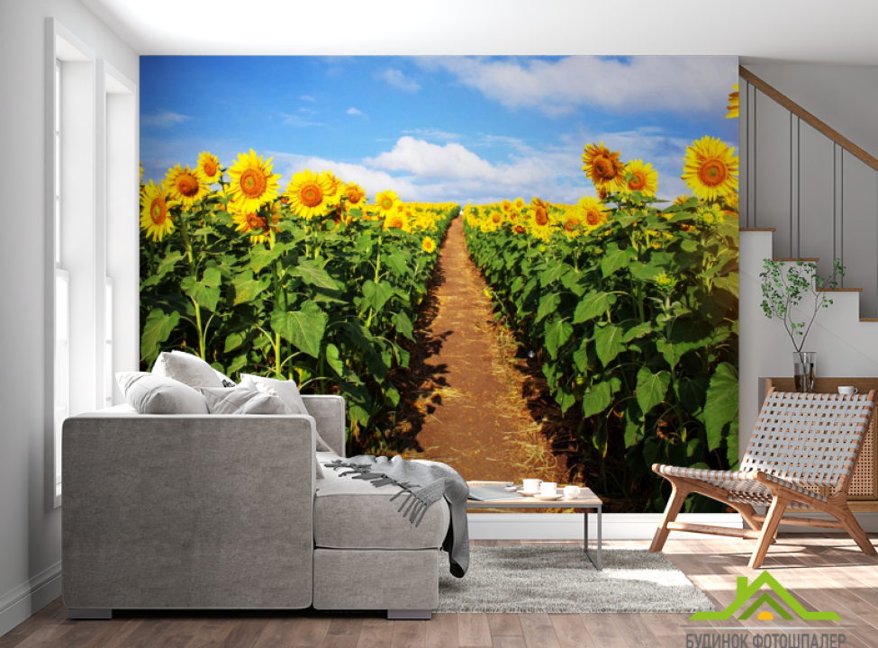 выбрать Фотообои дорога в поле подсолнухов Фотообои подсолнухи на стену
