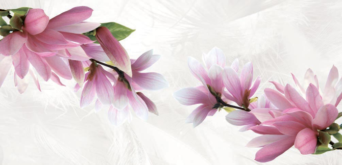 Фотошпалери Магнолія