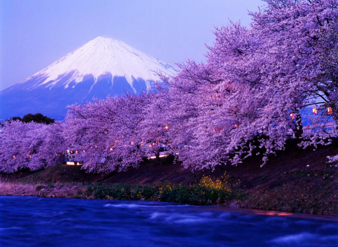 Фотообои Гора, цвет