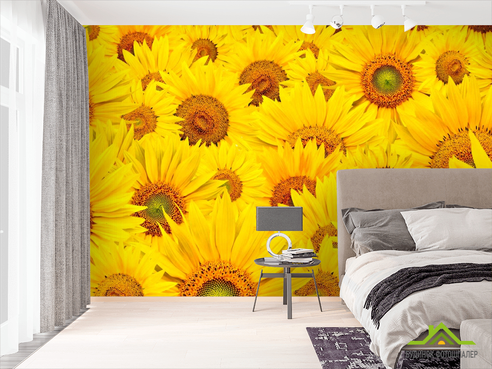 Фотообои Поле из подсолнухов