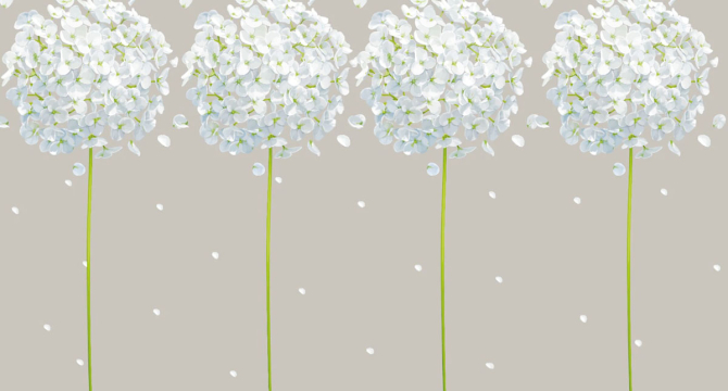 Фотообои одуванчики