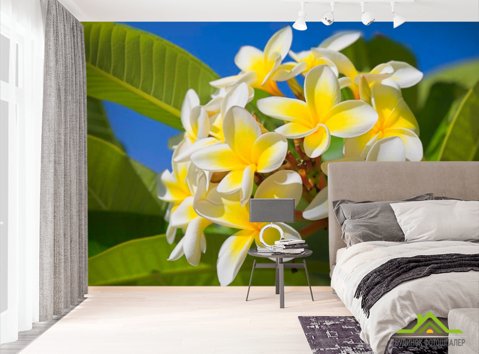 выбрать Фотошпалери Жовто-білі квіточки Фотошпалери Квіти на стіну
