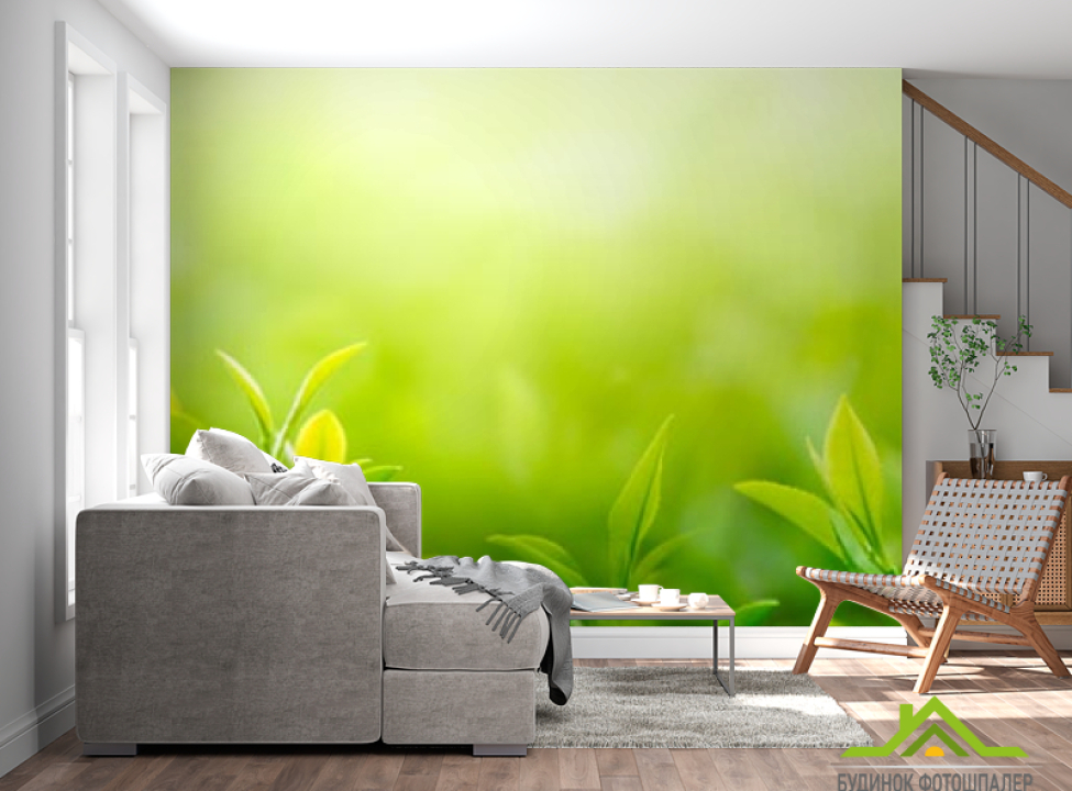 выбрать Фотошпалери зелені паростки Фотошпалери Природа на стіну