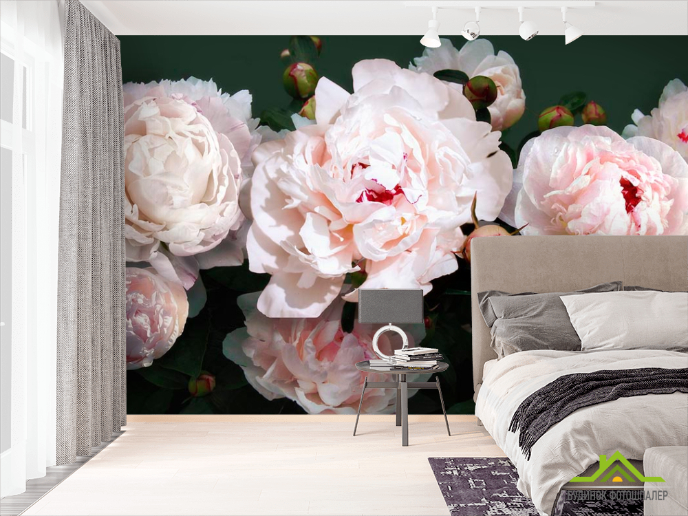 Фотошпалери Півонії