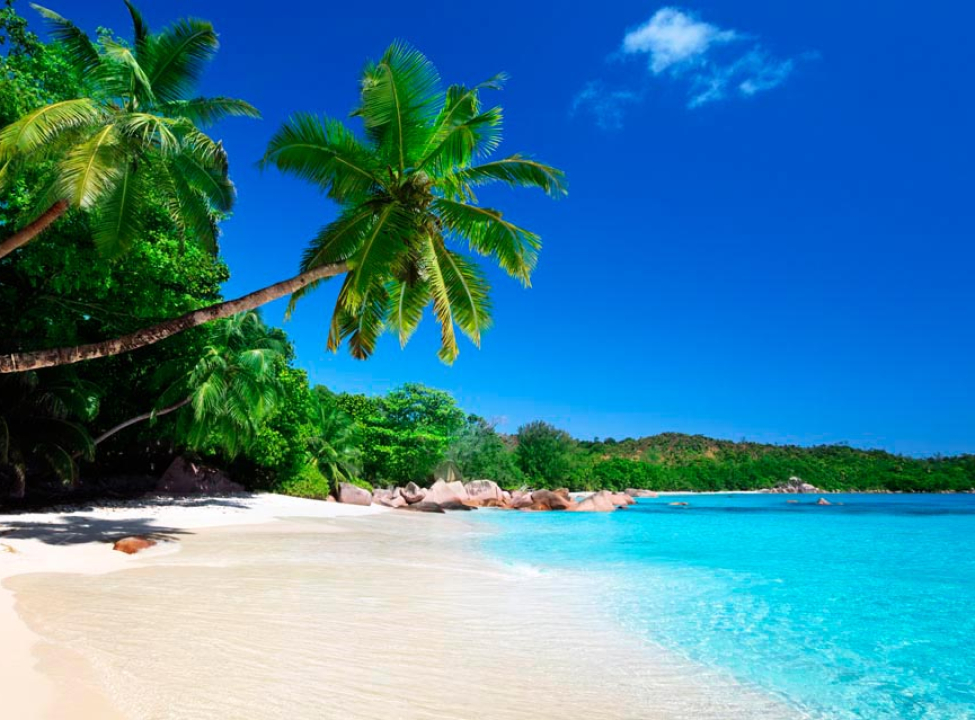 выбрать Фотообои Море и пальмы Фотообои мальдивы на стену