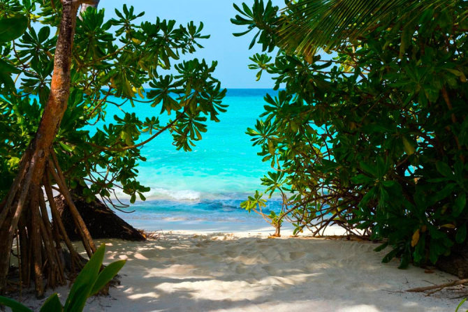 Фотообои Песок, пляж